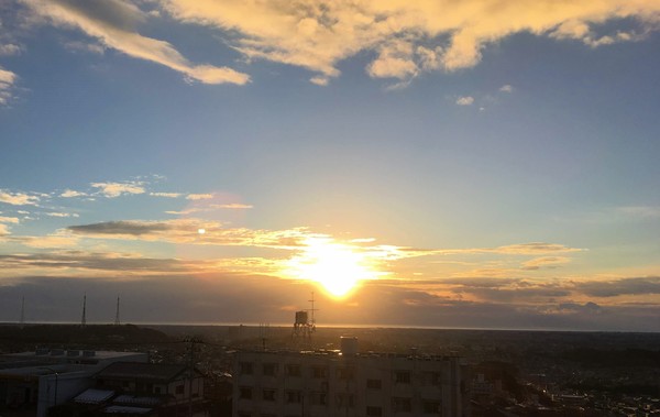 創造的社会の礎となろう（年賀状に替えて）