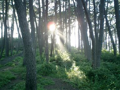 影があるから光の帯ができる
