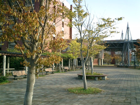 金沢大学　中庭.jpg