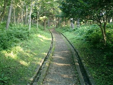 半島の先端へのびる道。神社の静けさ