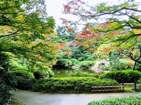 秋の全国行脚が終わりました。