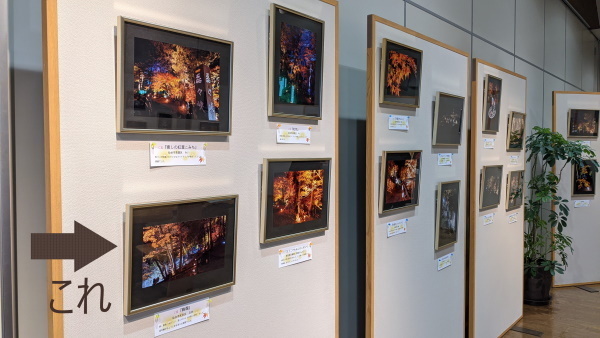 フォトコンテストで賞をもらいました