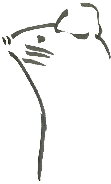 新年の抱負（2020年元旦）