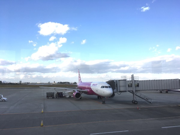 台北～仙台便、おすすめです（タイガーも、ピーチも）