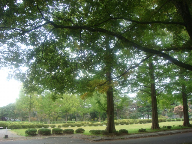 仙台での「TEDxTohoku」で、実感したこと