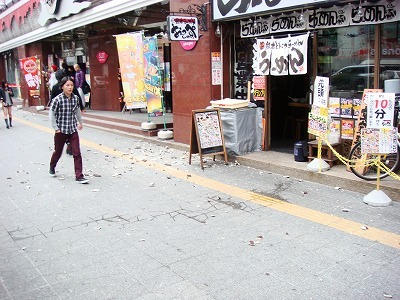 311（大地震の日の日記）