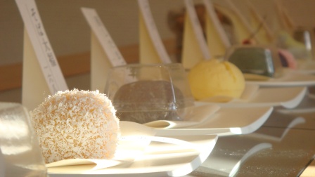 円菓（まどか）。差し込む陽光が暖かい。