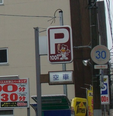 豪雨の中のお花見、7つのポイント