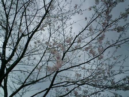 人間がする選択は、不思議なもの。