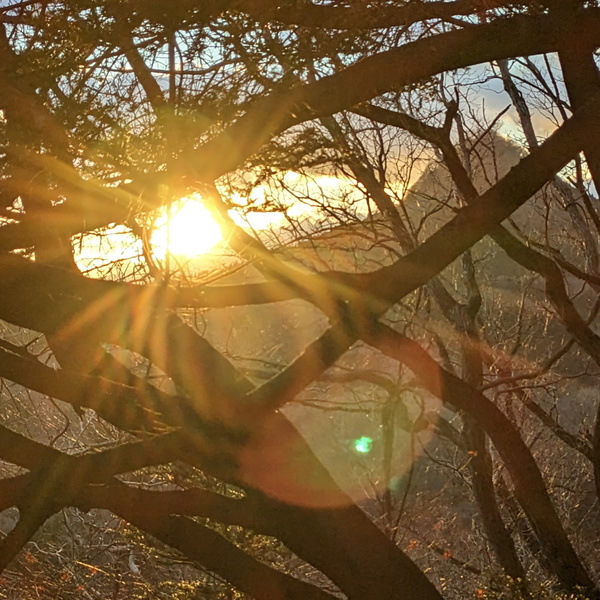 新年のご挨拶を申し上げます。（＆年賀状廃止のご案内）